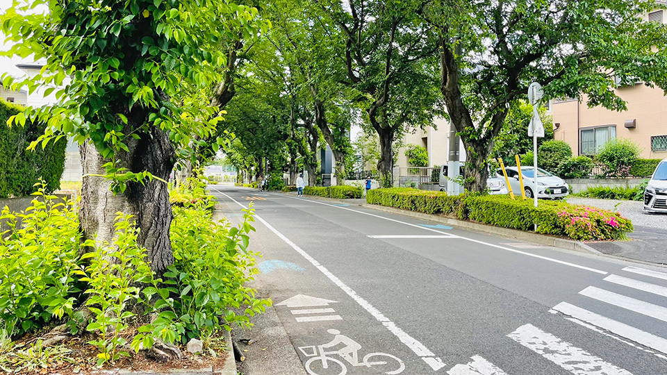 令和5年度 第4回地域内清掃活動（ゴミ拾い）を実施しました