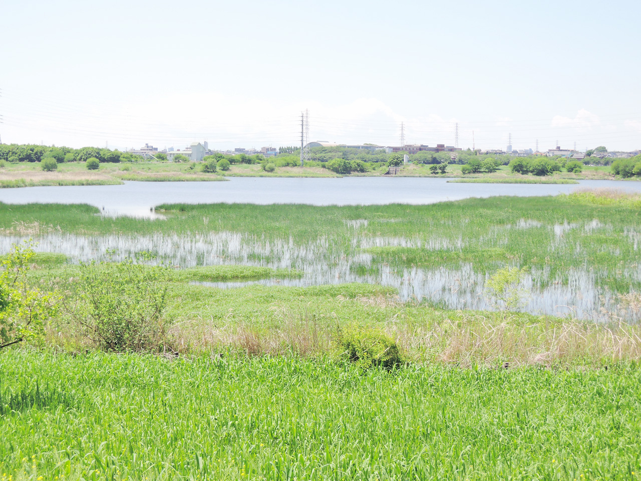 探鳥の会