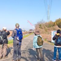 探鳥の会　活動の様子