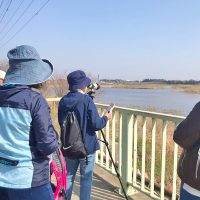 探鳥の会　活動の様子