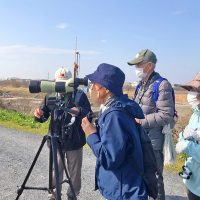 探鳥の会　活動の様子